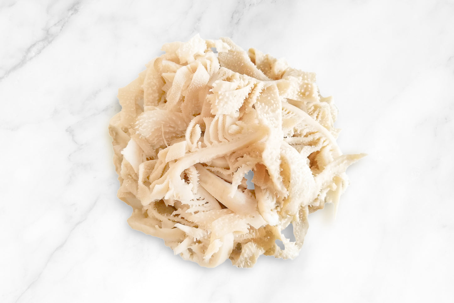Beef Omasum Tripe 牛百葉