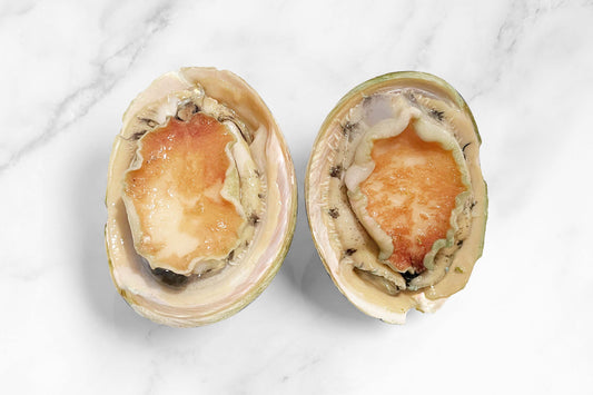 Australian Abalone 澳大利亚青边鲍鱼