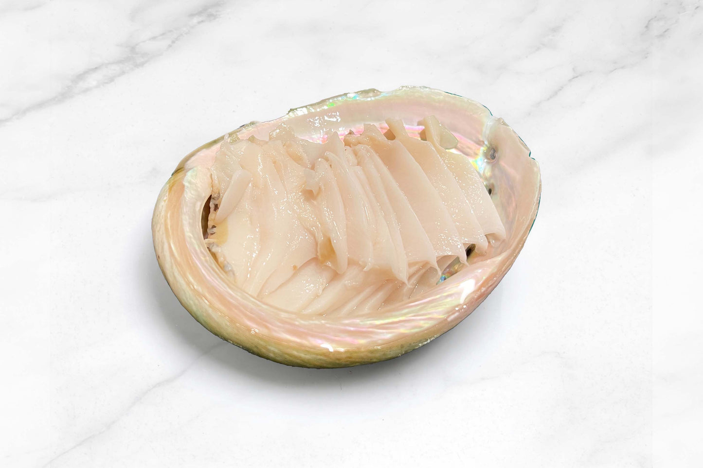 Australian Abalone 澳大利亞青邊鮑魚