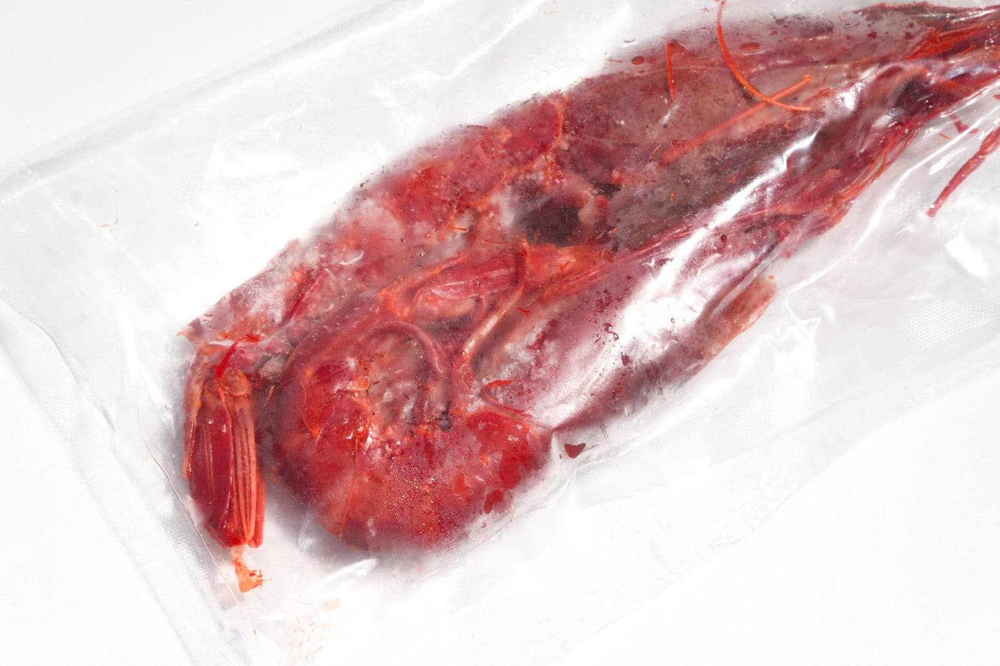 Celeplate Pass Sale: Carabineros Prawn XXL 特大红魔虾