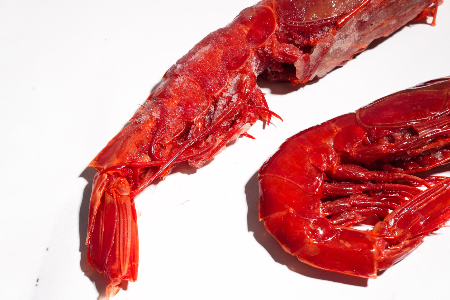 Celeplate Pass Sale: Carabineros Prawn XXL 特大红魔虾