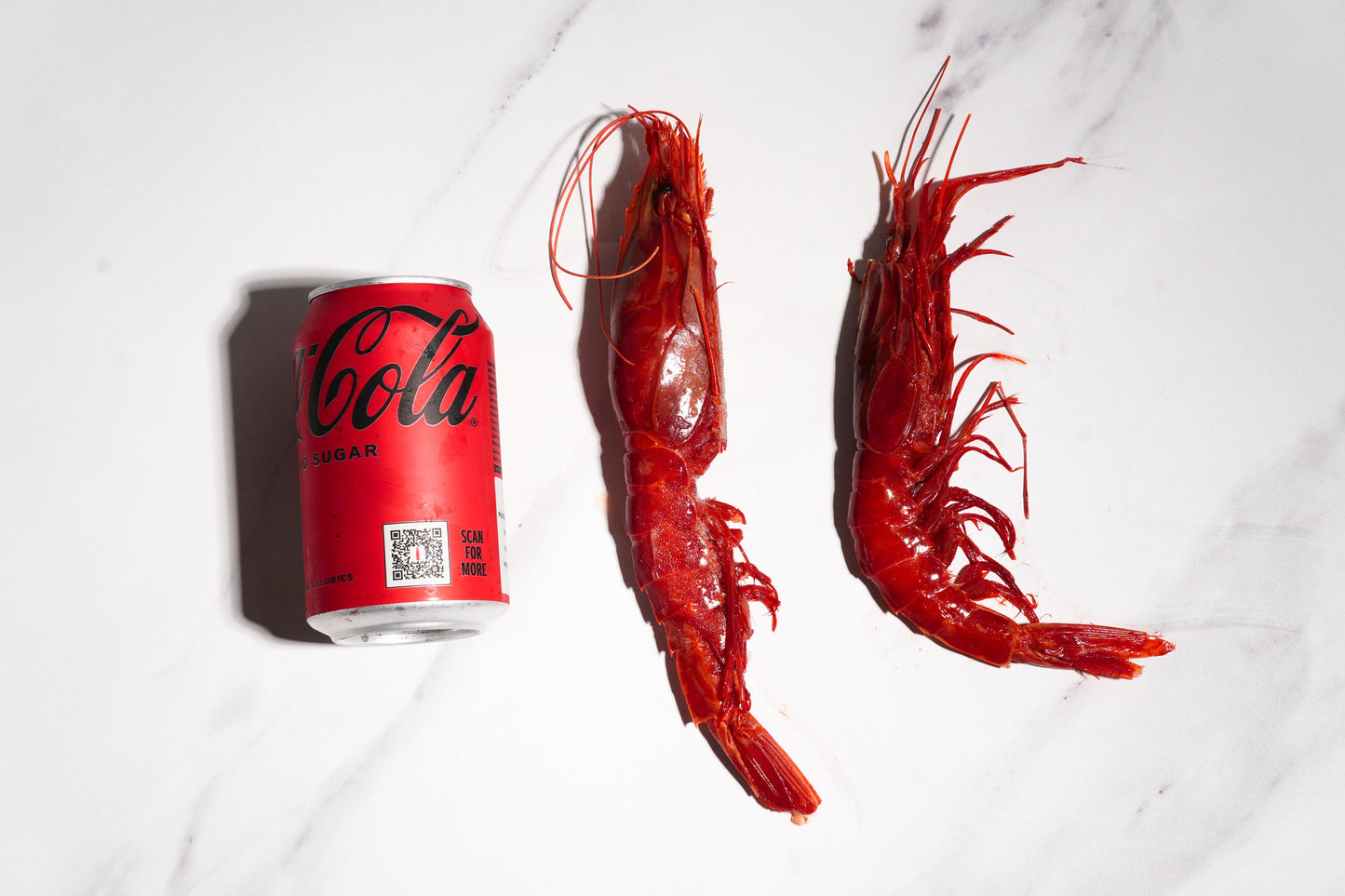 Celeplate Pass Sale: Carabineros Prawn XXL 特大红魔虾