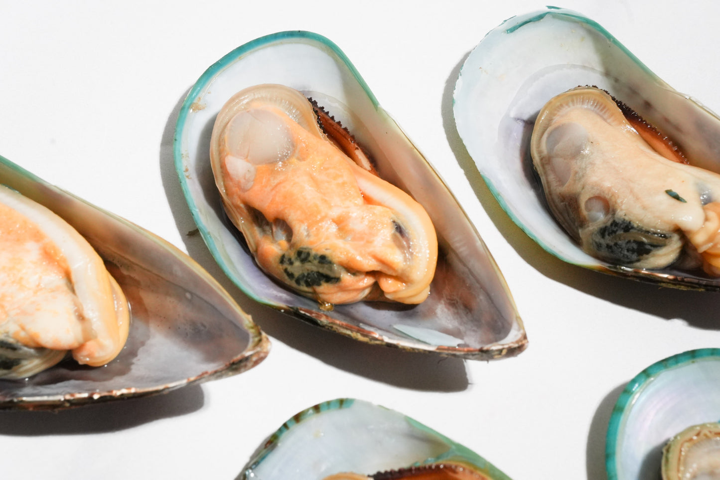 New Zealand Greenshell Frozen Mussels 紐西蘭半殼熟凍青口貝