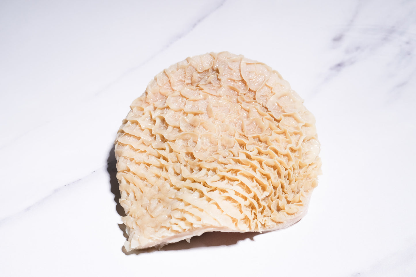 Beef Honeycomb Tripe 金钱肚