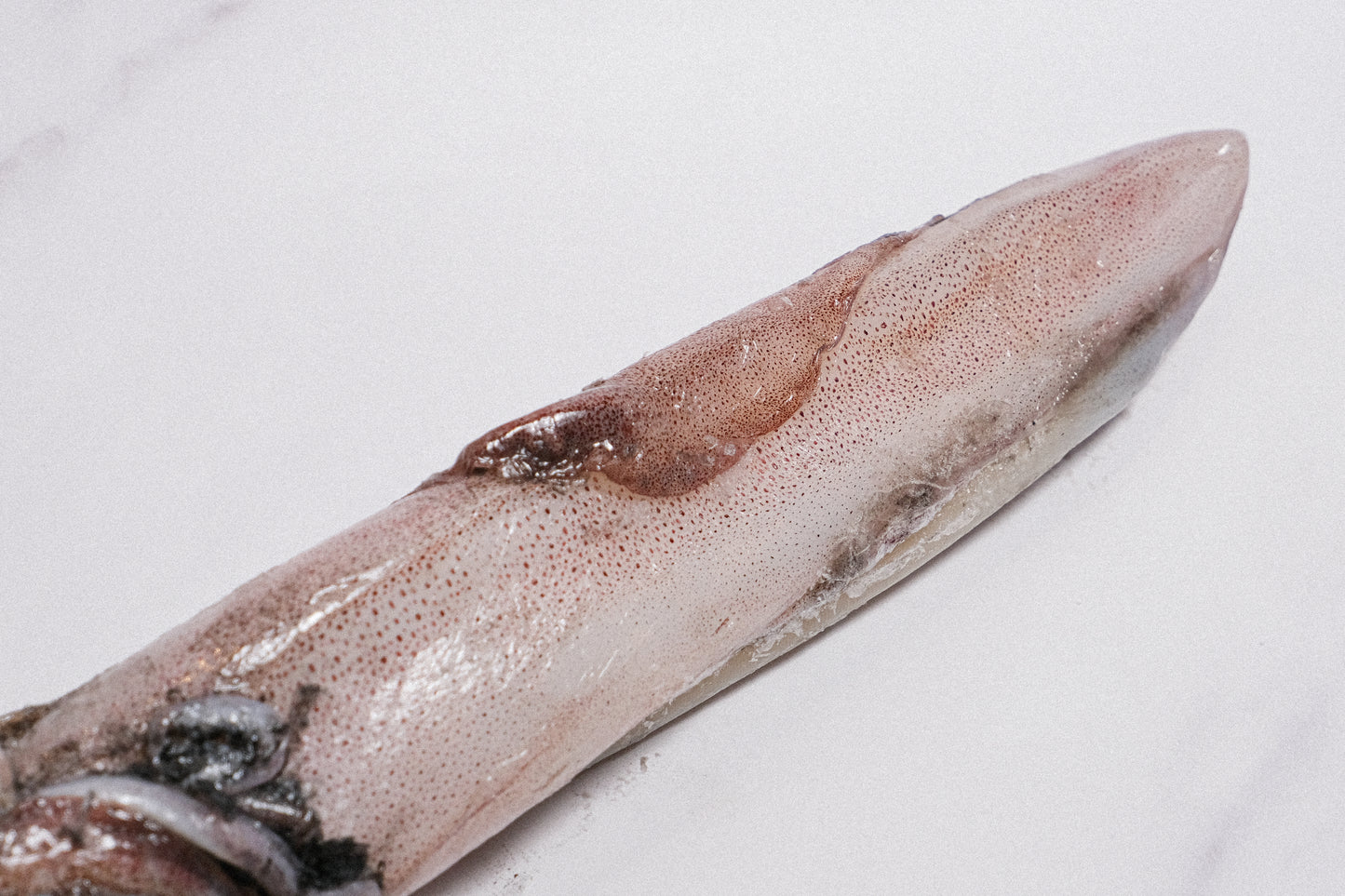 Wild-Caught Sashimi Grade Whole Squid 野生船冻整条刺身级鱿鱼