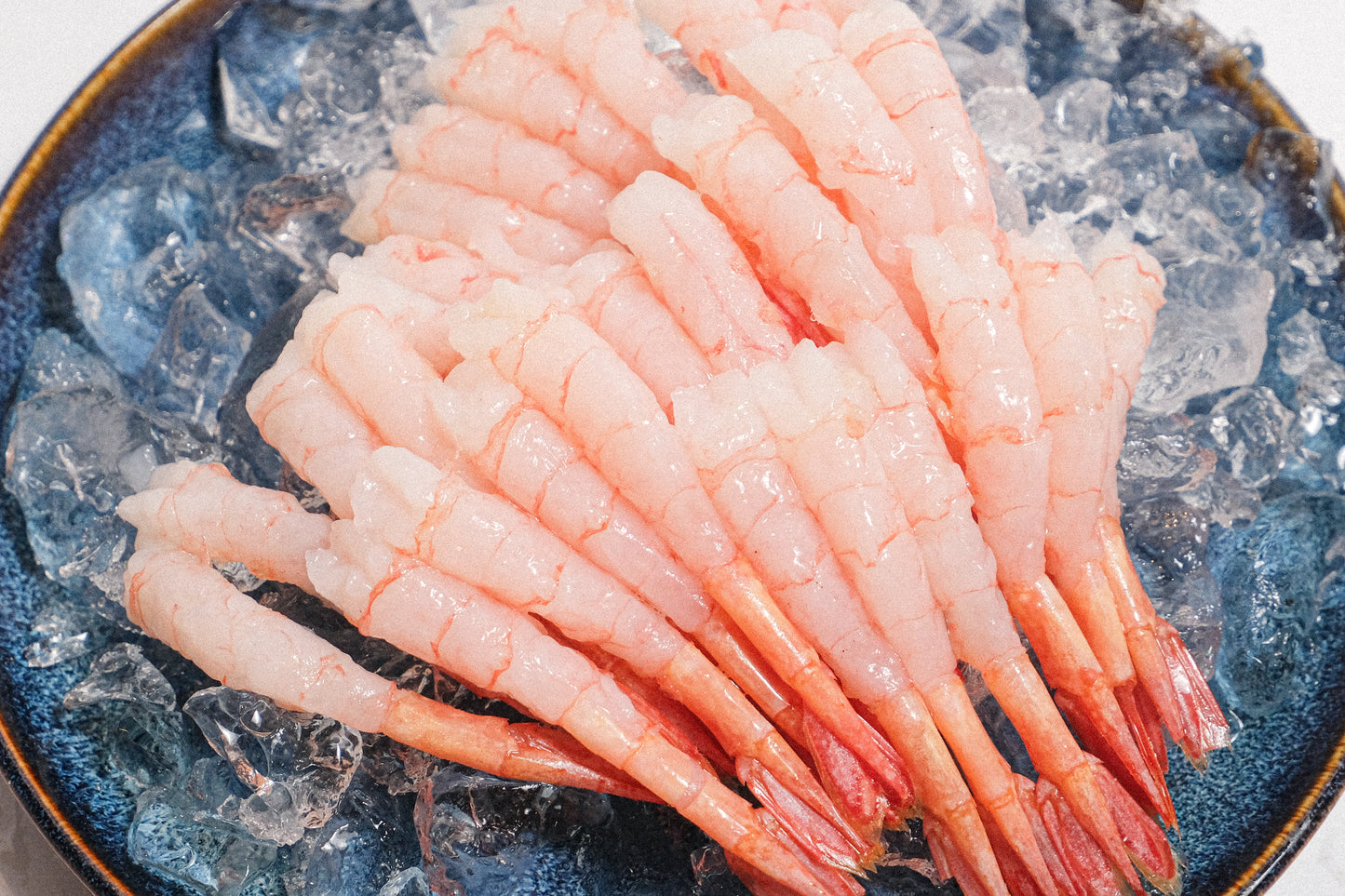 Ama Ebi Sashimi Sweet Prawn 刺身甜蝦