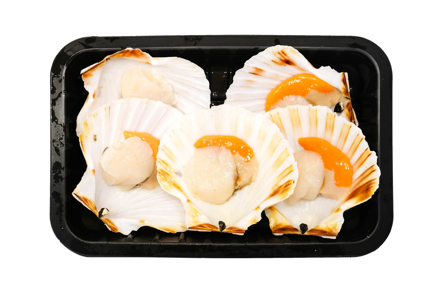 Wild-Caught Scottish King Scallops 野生蘇格蘭帶黃扇貝