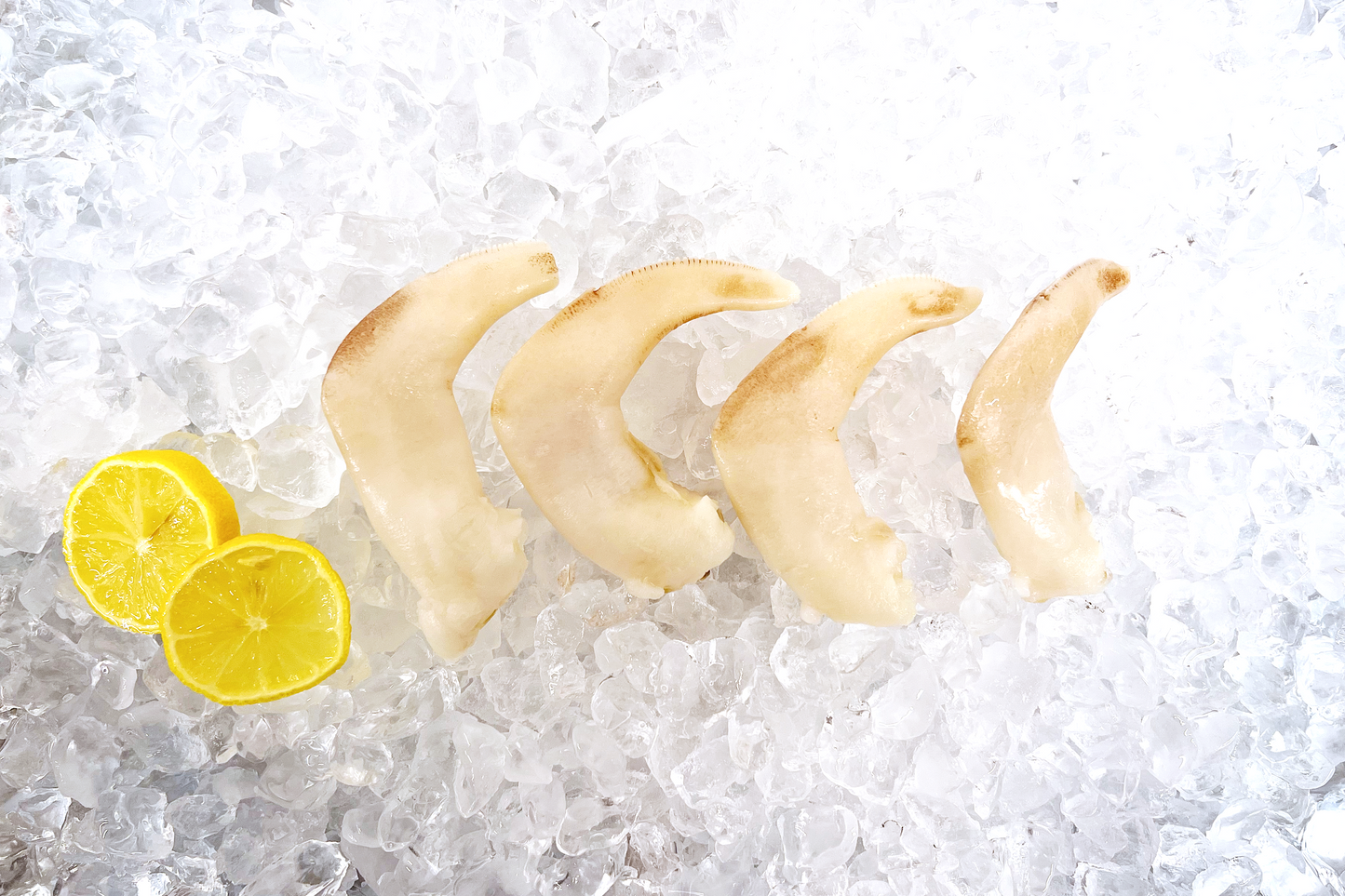 Greenland Sashimi Cockles 刺身白玉贝