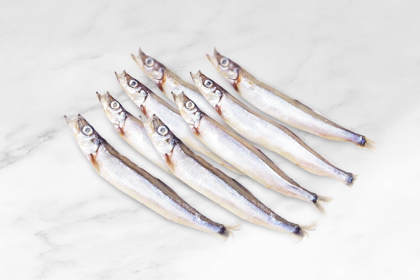 Capelin Shishamo 一夜干多春魚