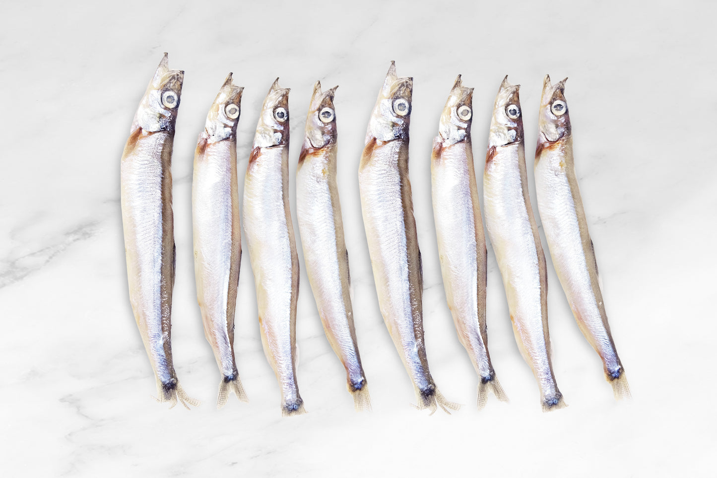 Capelin Shishamo 一夜干多春魚