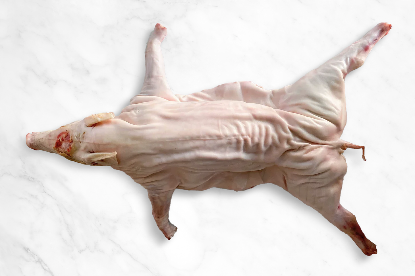 Whole Suckling Pig 西班牙整只乳豬