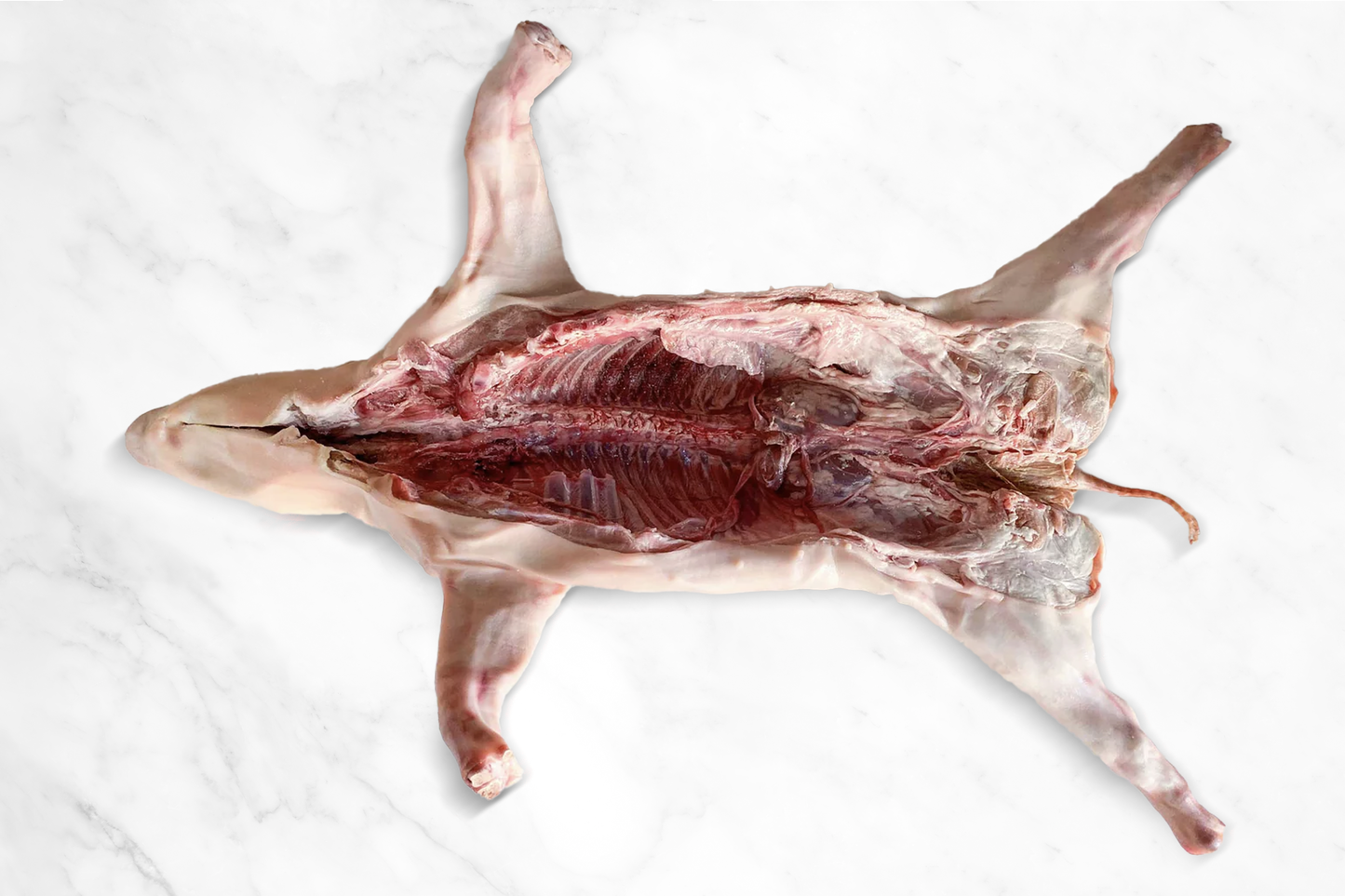 Whole Suckling Pig 西班牙整只乳豬