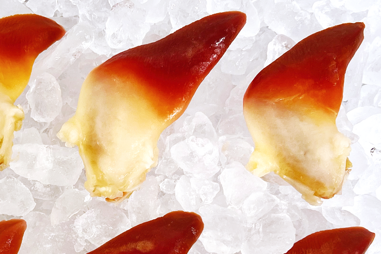 Hokkigai Sashimi Surf Clam 刺身北極貝