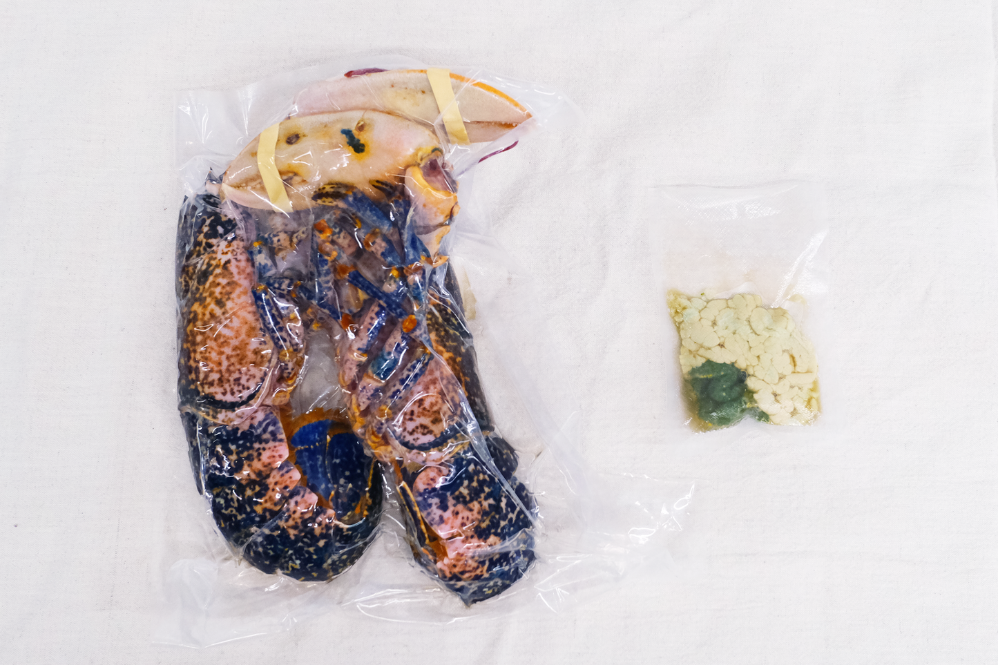 Live Scottish Native Blue Lobster 活苏格兰蓝龙虾
