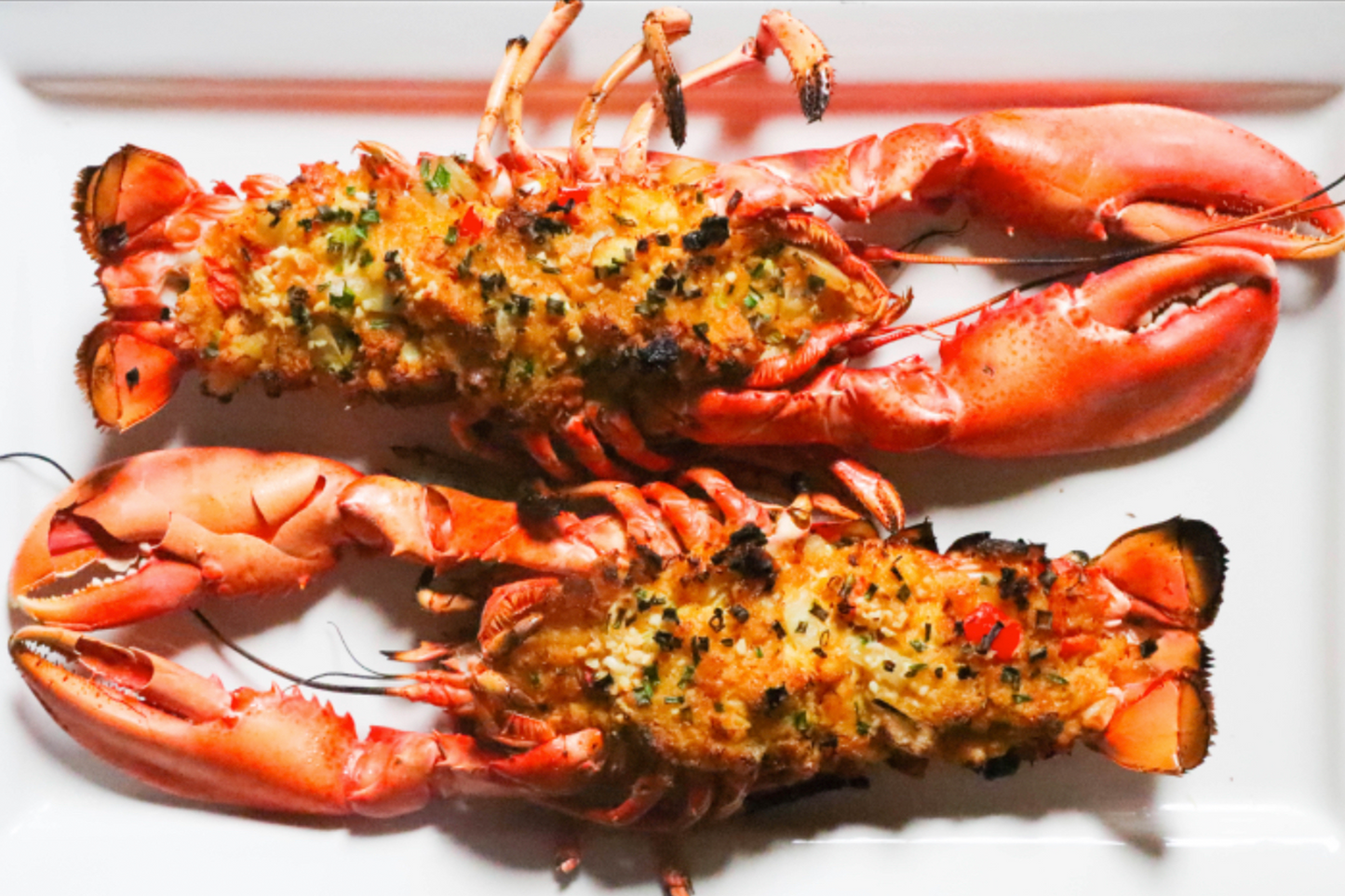 Live Scottish Native Blue Lobster 活苏格兰蓝龙虾