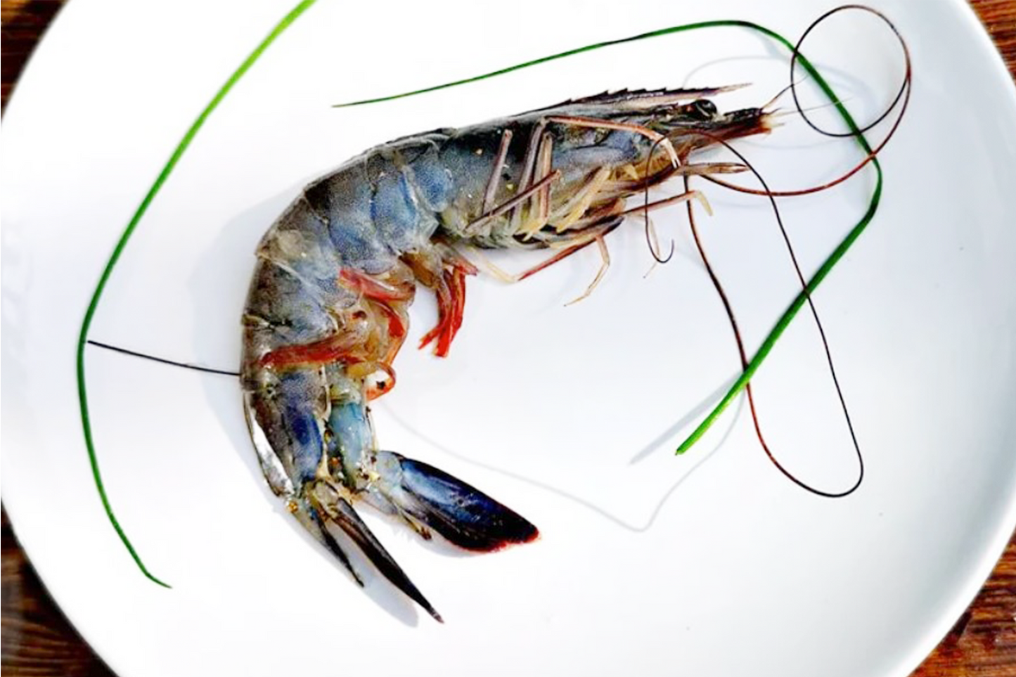 French Sashimi Blue Prawn 刺身級法國藍蝦