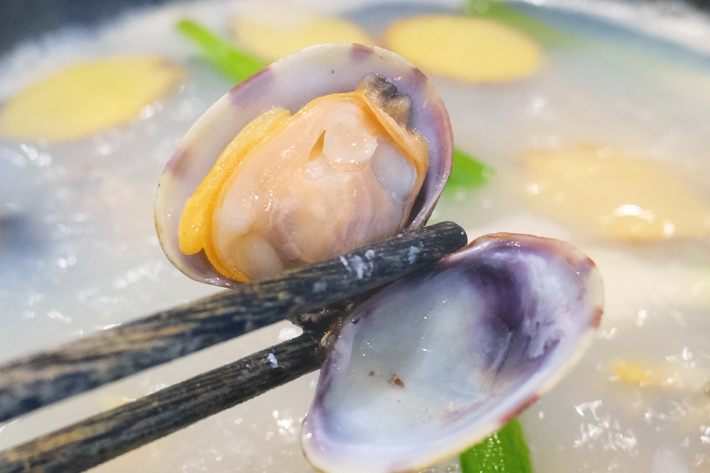 Live Cornish Palourdes Clam 康沃爾郡活花蛤