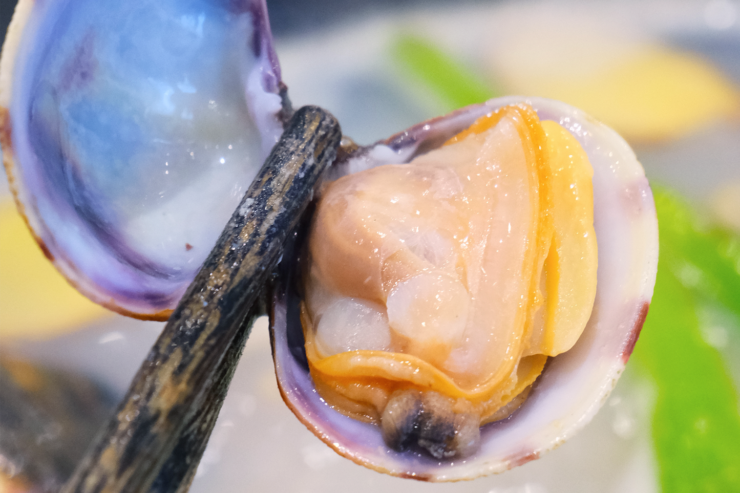 Live Cornish Palourdes Clam 康沃爾郡活花蛤