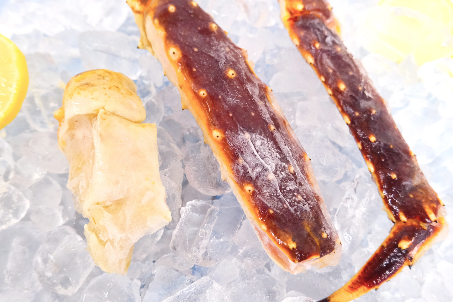 Single King Crab Cluster 单只帝王蟹腿