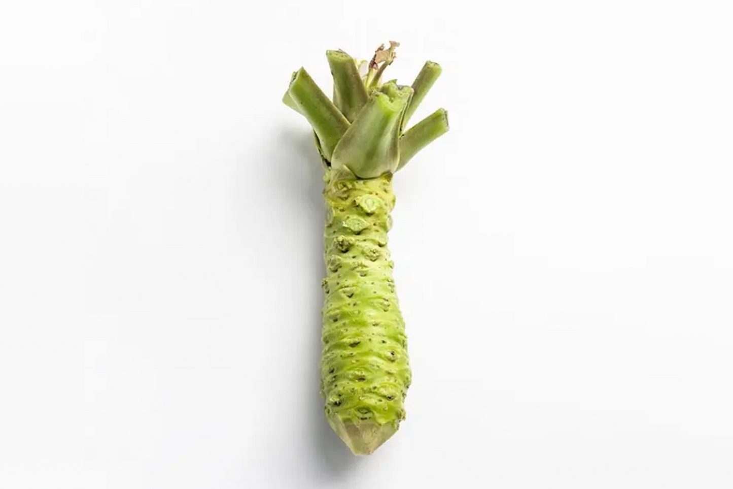 Fresh Wasabi Grating Set 新鲜山葵研磨套装