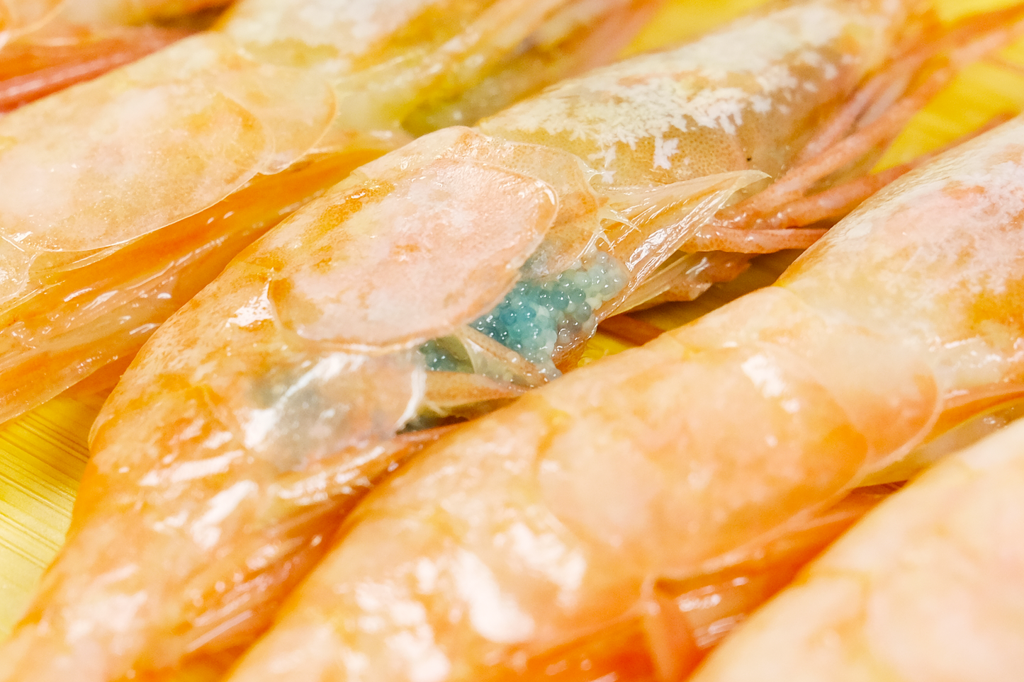 Norway Wild Ama Ebi Sashimi Sweet Prawn 刺身挪威野生甜蝦