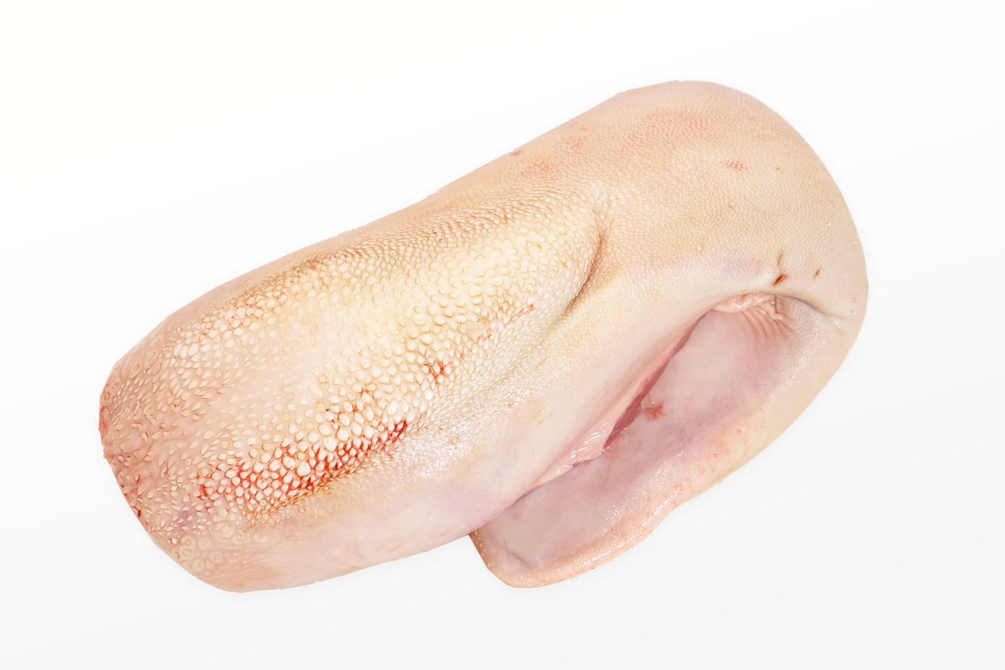 Fresh Whole Ox Tongue 新鮮整條牛舌