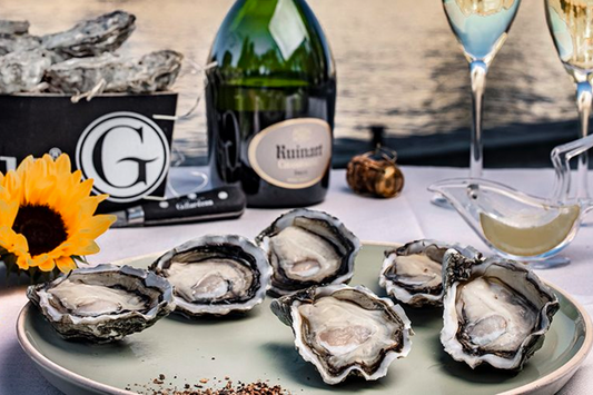 Live French Gillardeau Oyster 6 pcs 活法国吉娜朵生蚝6只