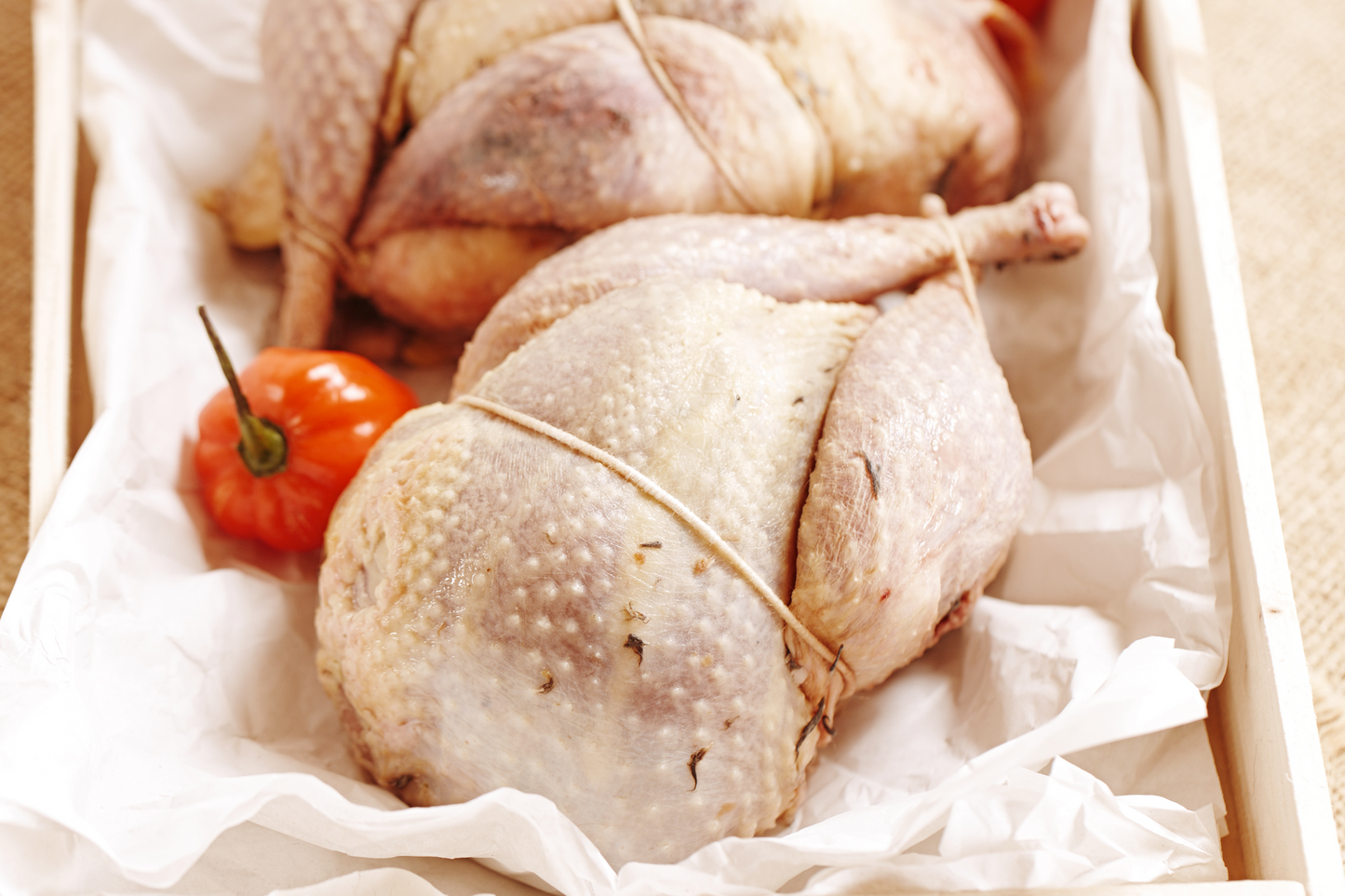 Fresh Whole Wild Pheasant 新鲜野山鸡