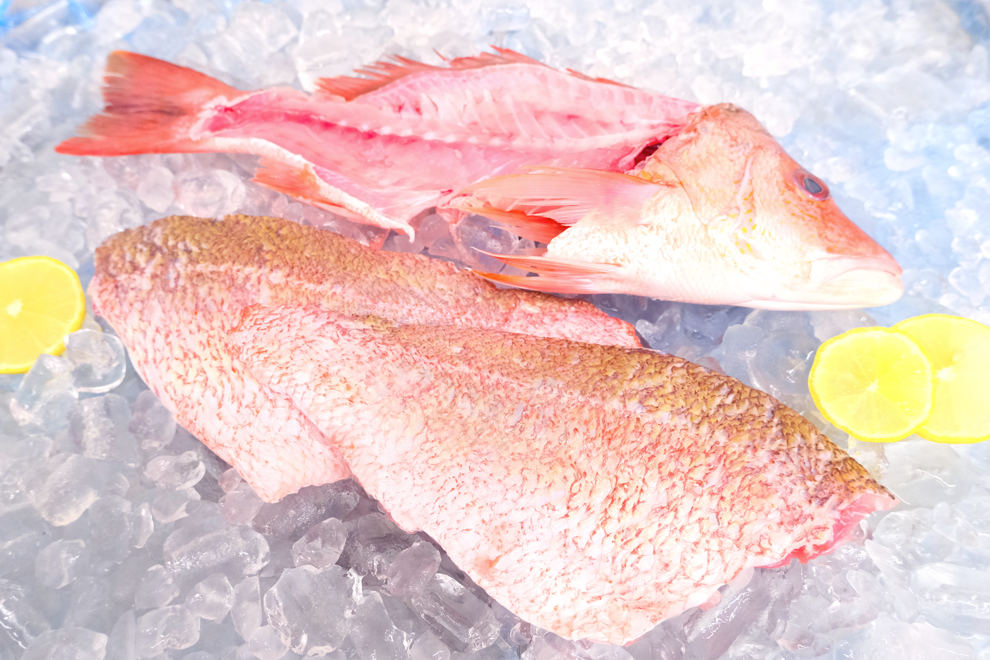 Fresh Red snapper 新鲜红鲷鱼
