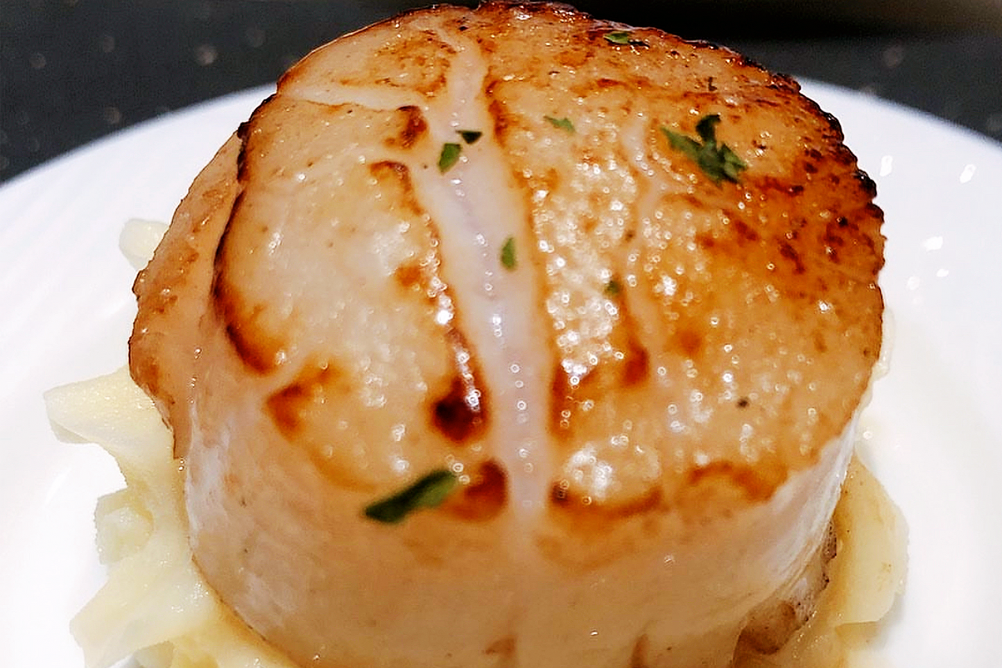 Japanese Sashimi King Scallops 刺身級日本扇貝貝柱