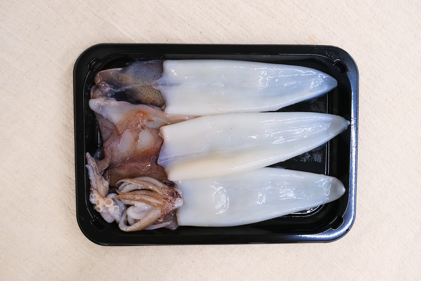 Daily Catch Fresh Squid 每日现捕小鱿鱼