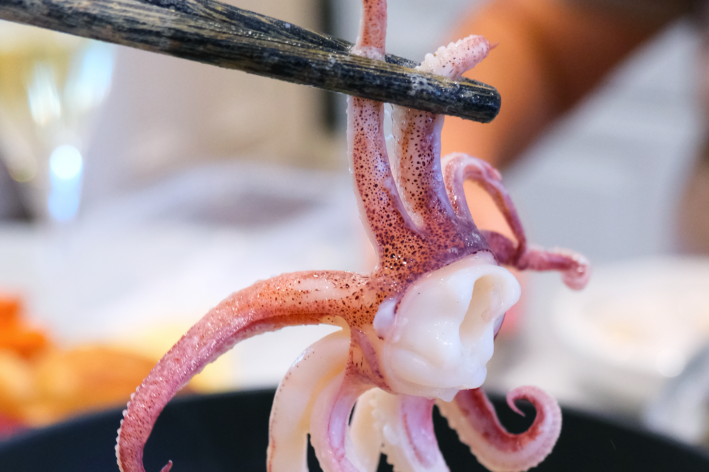 Cleaned Wild-Caught Squid 野生歐洲筆管魷魚