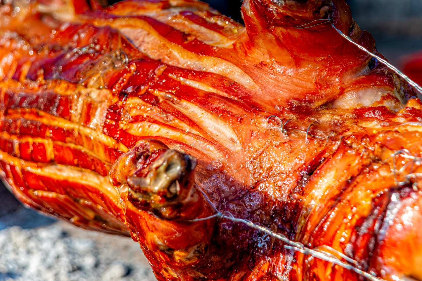 Whole Suckling Pig 西班牙整只乳豬