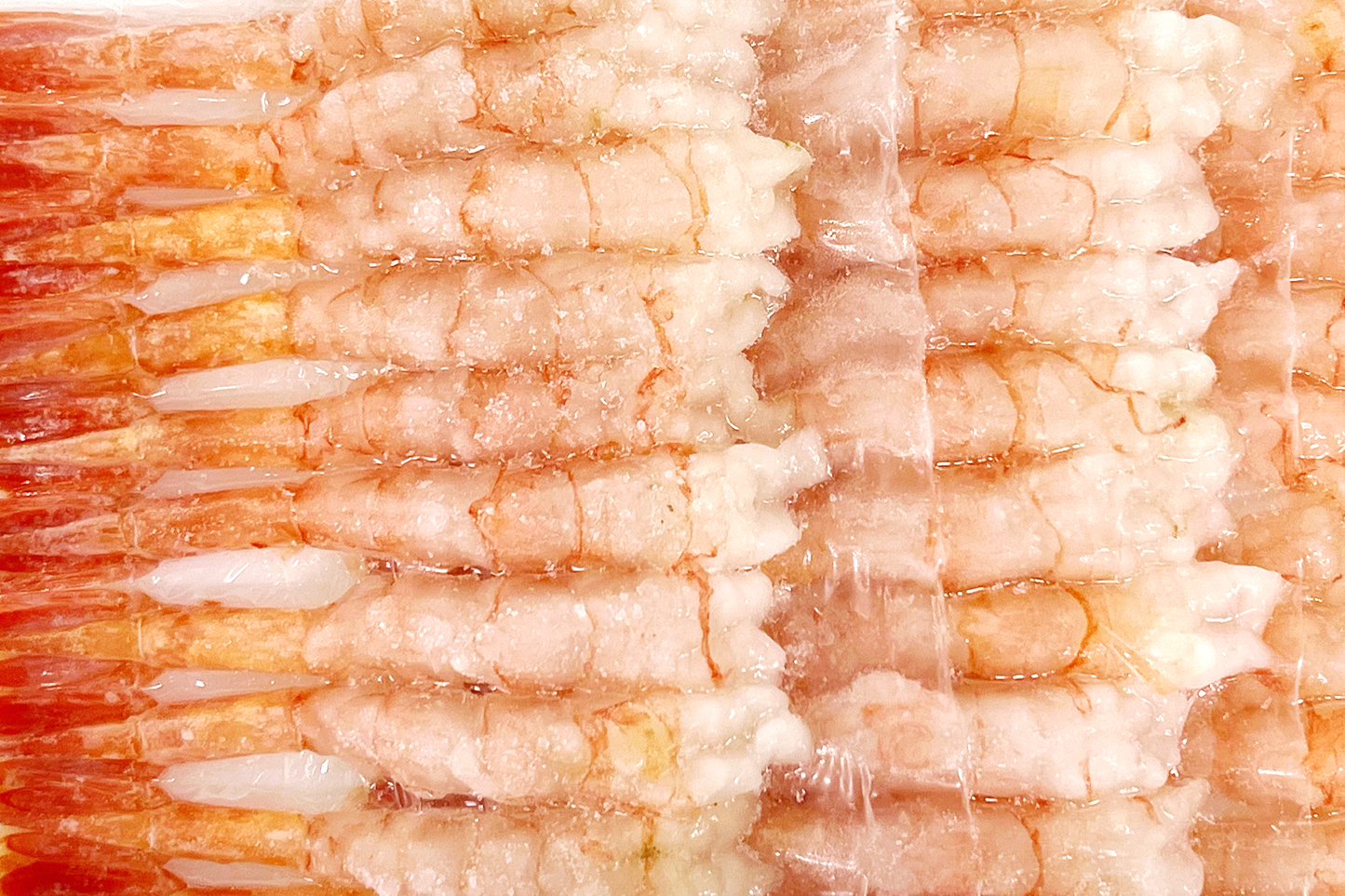 Ama Ebi Sashimi Sweet Prawn 刺身甜虾