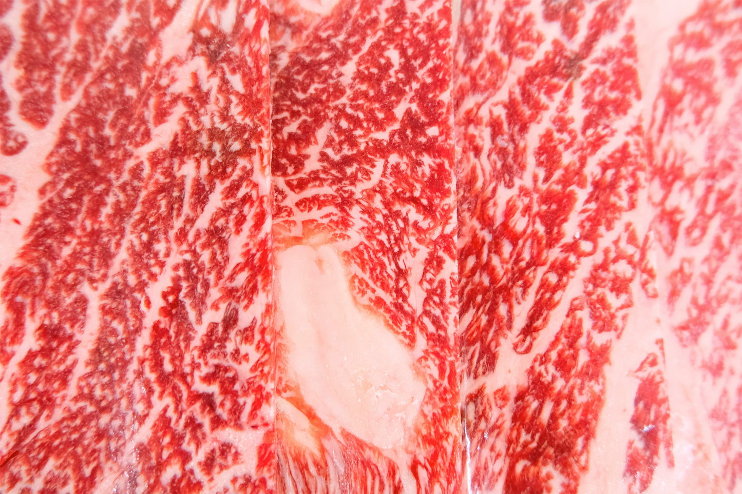 Wagyu Prime Galbi 和牛雪花牛小排