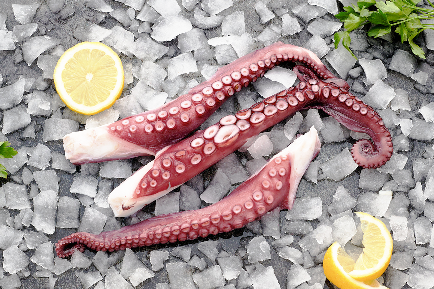 Spain Octopus Tentacles 西班牙章鱼腿