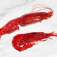 Celeplate Pass Sale: Carabineros Prawn XXL 特大紅魔蝦