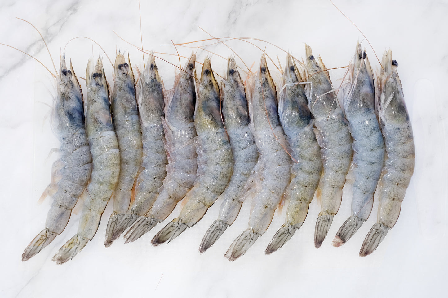 A3 Grade Frozen Large King Prawns A3级大号急冻对虾