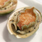 Australian Abalone 澳大利亚青边鲍鱼