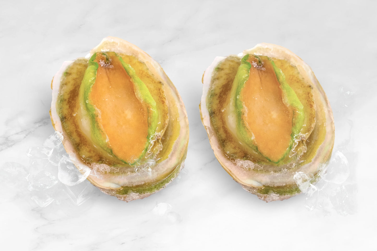 Australian Abalone 澳大利亚青边鲍鱼