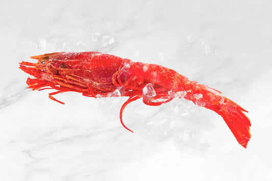 Carabineros Prawn XXL 特大红魔虾