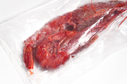 Carabineros Prawn XXL 特大红魔虾