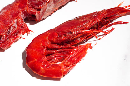Carabineros Prawn XXL 特大红魔虾