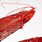 Carabineros Prawn XXL 特大紅魔蝦