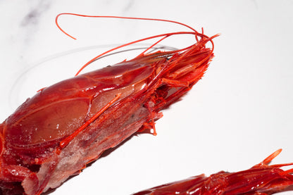 Carabineros Prawn XXL 特大红魔虾