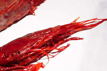 Carabineros Prawn XXL 特大红魔虾