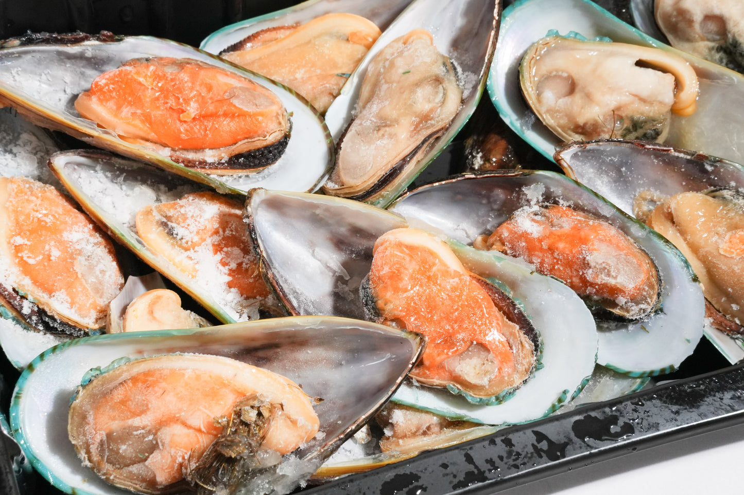 New Zealand Greenshell Frozen Mussels 新西兰半壳熟冻青口贝