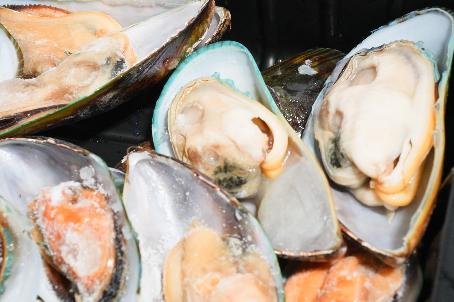 New Zealand Greenshell Frozen Mussels 新西兰半壳熟冻青口贝