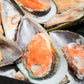 New Zealand Greenshell Frozen Mussels 新西兰半壳熟冻青口贝