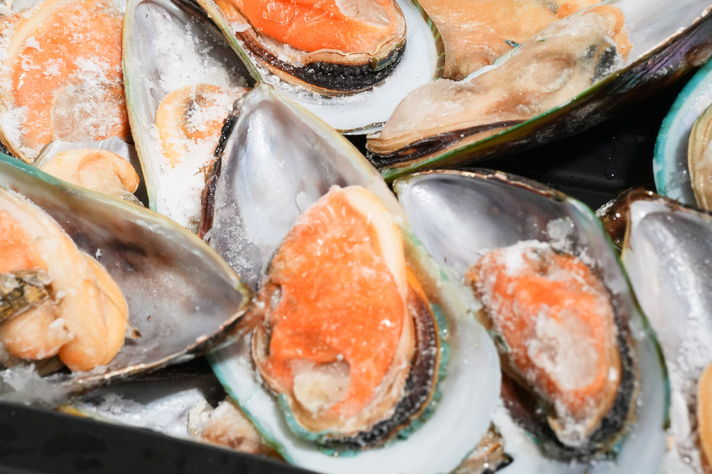 New Zealand Greenshell Frozen Mussels 新西兰半壳熟冻青口贝
